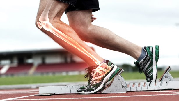 Stav kostí vypovídá o životním stylu